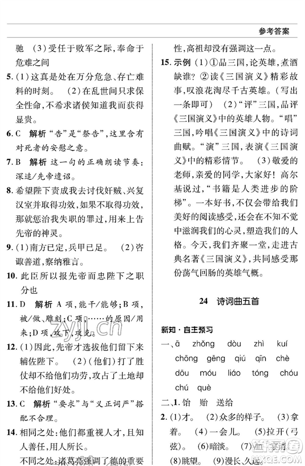 北京師范大學(xué)出版社2023語文配套綜合練習(xí)九年級(jí)下冊人教版參考答案