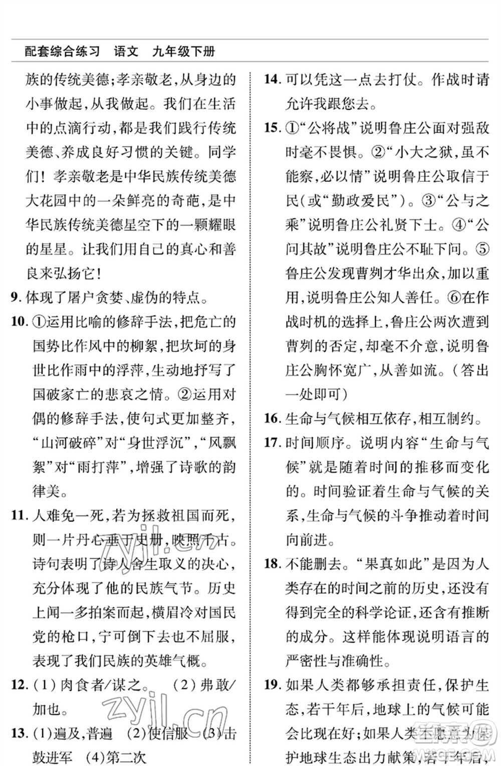 北京師范大學(xué)出版社2023語文配套綜合練習(xí)九年級(jí)下冊人教版參考答案