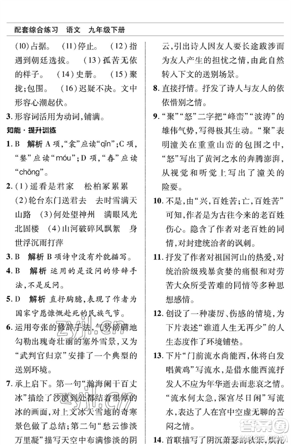 北京師范大學(xué)出版社2023語文配套綜合練習(xí)九年級(jí)下冊人教版參考答案