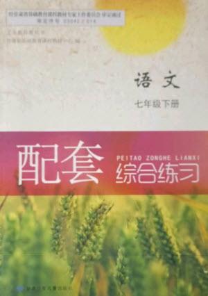甘肅少年兒童出版社2023語(yǔ)文配套綜合練習(xí)七年級(jí)下冊(cè)人教版參考答案