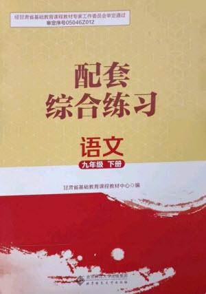 北京師范大學(xué)出版社2023語文配套綜合練習(xí)九年級(jí)下冊人教版參考答案