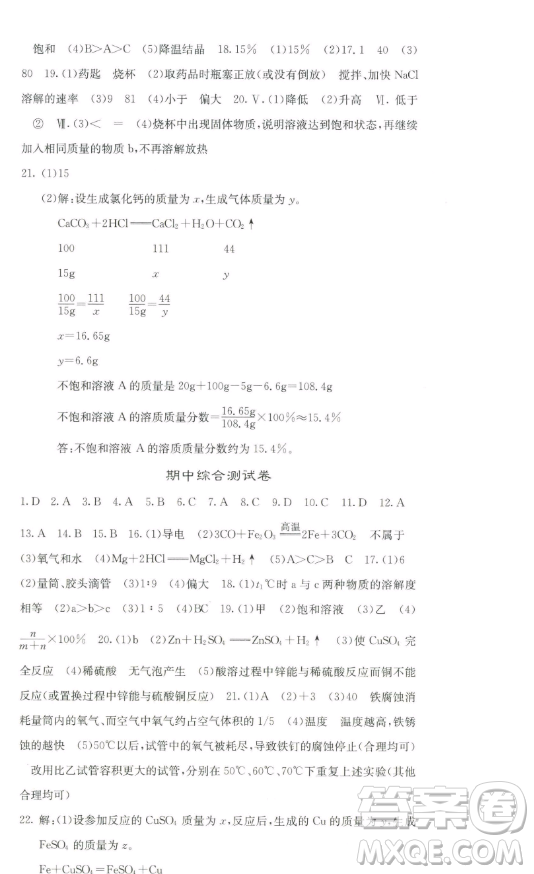四川大學(xué)出版社2023名校課堂內(nèi)外九年級化學(xué)下冊人教版答案