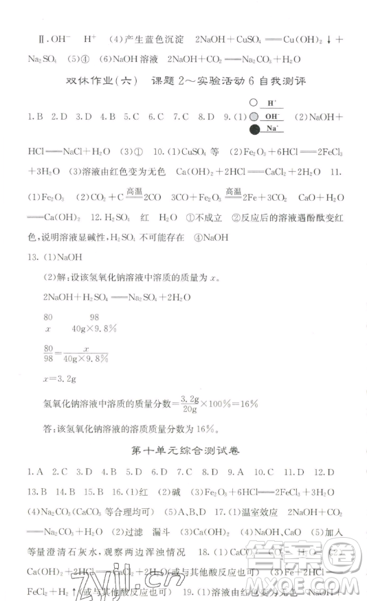 四川大學(xué)出版社2023名校課堂內(nèi)外九年級化學(xué)下冊人教版答案