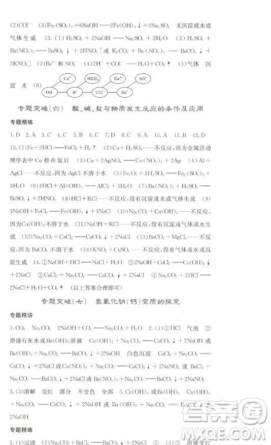 四川大學(xué)出版社2023名校課堂內(nèi)外九年級化學(xué)下冊人教版答案