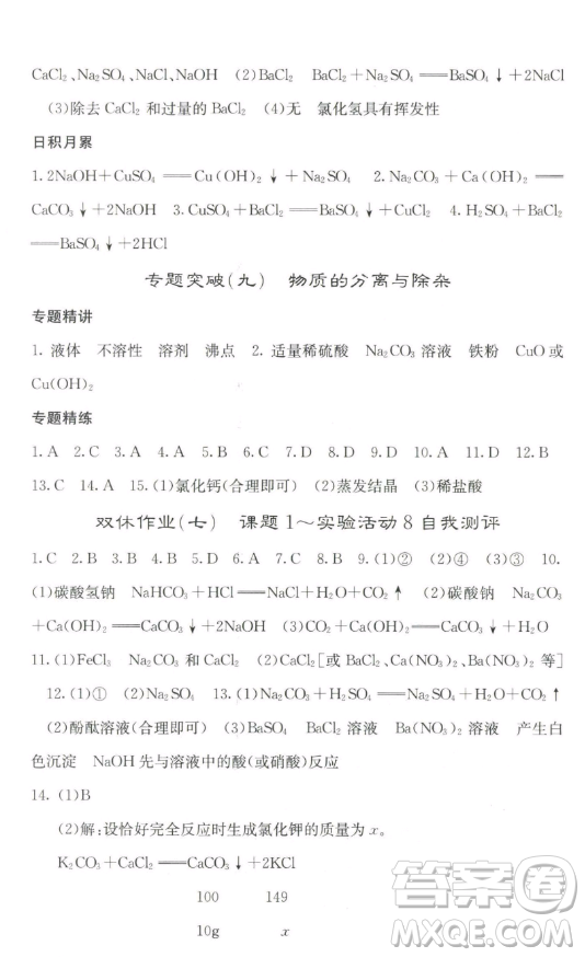 四川大學(xué)出版社2023名校課堂內(nèi)外九年級化學(xué)下冊人教版答案