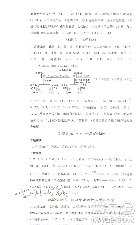 四川大學(xué)出版社2023名校課堂內(nèi)外九年級化學(xué)下冊人教版答案