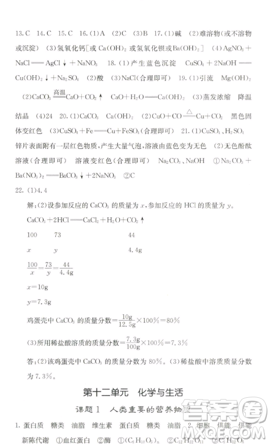 四川大學(xué)出版社2023名校課堂內(nèi)外九年級化學(xué)下冊人教版答案