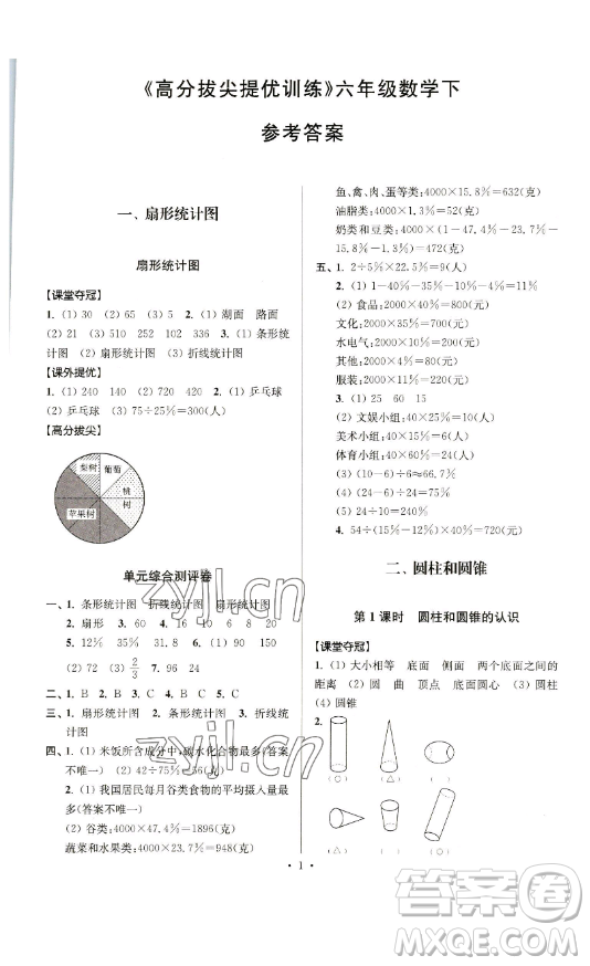 江蘇人民出版社2023高分拔尖提優(yōu)訓(xùn)練六年級(jí)下冊(cè)數(shù)學(xué)蘇教版江蘇專(zhuān)版參考答案