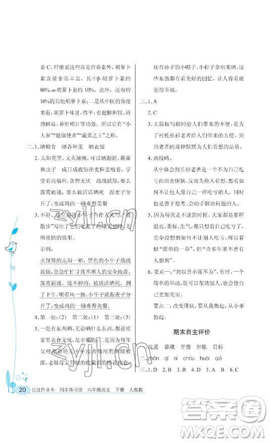 湖北教育出版社2023長江作業(yè)本同步練習(xí)冊六年級語文下冊人教版參考答案