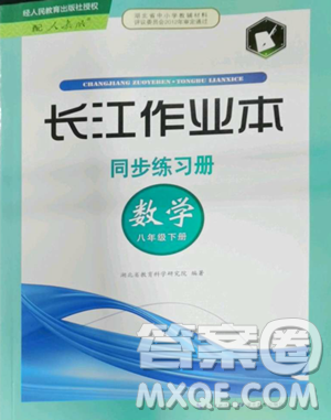 湖北教育出版社2023長江作業(yè)本同步練習(xí)冊八年級數(shù)學(xué)下冊人教版參考答案