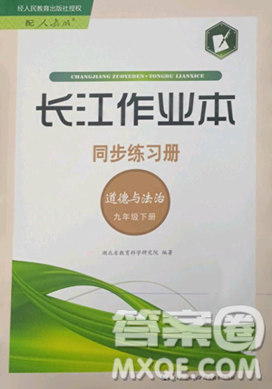 湖北教育出版社2023長(zhǎng)江作業(yè)本同步練習(xí)冊(cè)九年級(jí)道德與法治下冊(cè)人教版參考答案