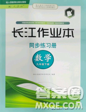湖北教育出版社2023長江作業(yè)本同步練習(xí)冊九年級(jí)數(shù)學(xué)下冊人教版參考答案