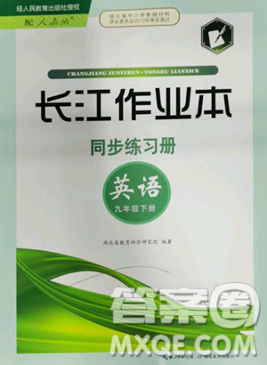湖北教育出版社2023長江作業(yè)本同步練習冊九年級英語下冊人教版參考答案