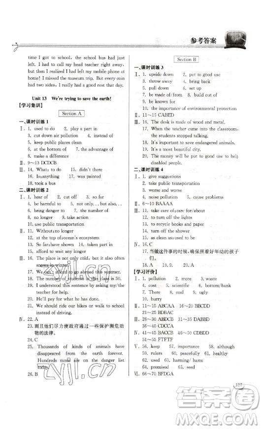 湖北教育出版社2023長江作業(yè)本同步練習冊九年級英語下冊人教版參考答案