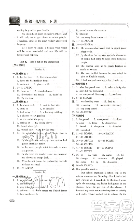 湖北教育出版社2023長江作業(yè)本同步練習冊九年級英語下冊人教版參考答案