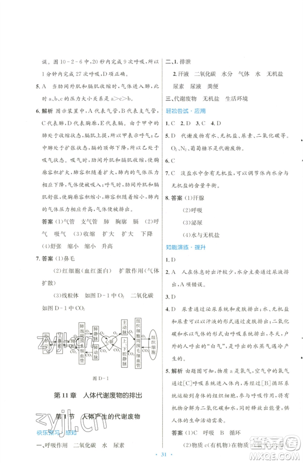北京師范大學(xué)出版社2023初中同步測控優(yōu)化設(shè)計七年級生物下冊北師大版參考答案
