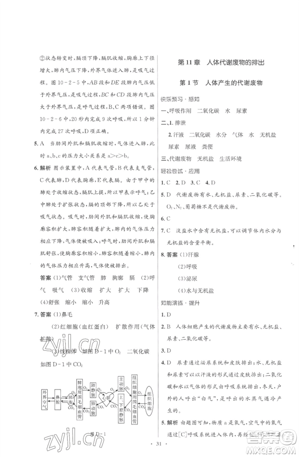 北京師范大學出版社2023初中同步測控優(yōu)化設(shè)計七年級生物下冊北師大版重慶專版參考答案