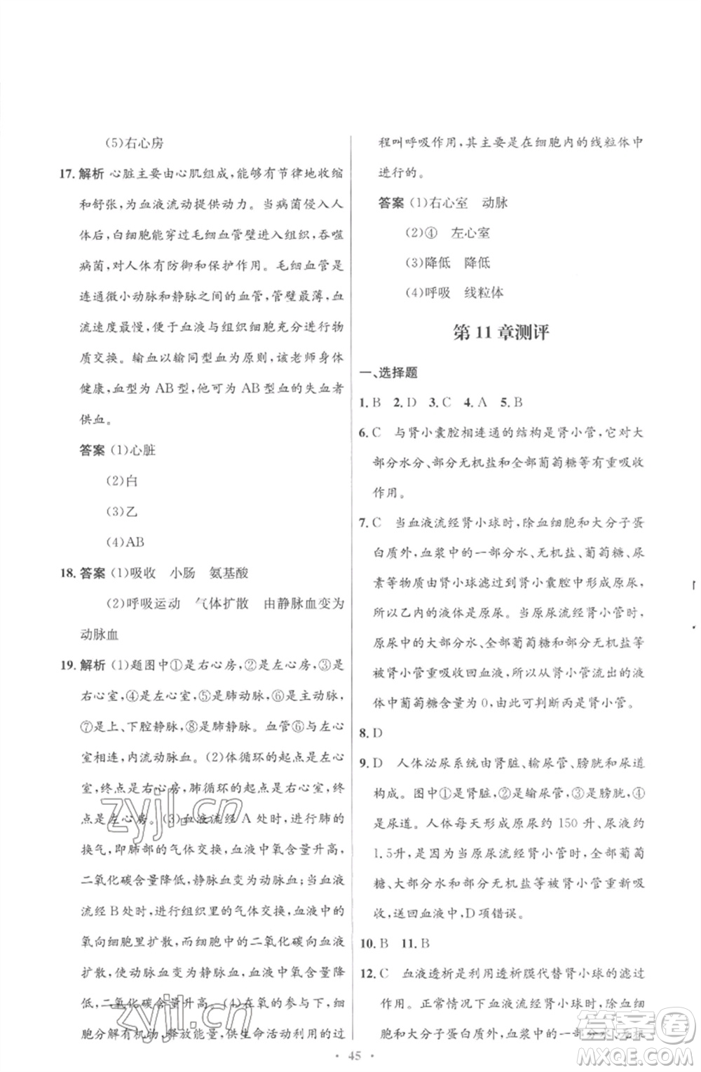 北京師范大學出版社2023初中同步測控優(yōu)化設(shè)計七年級生物下冊北師大版重慶專版參考答案