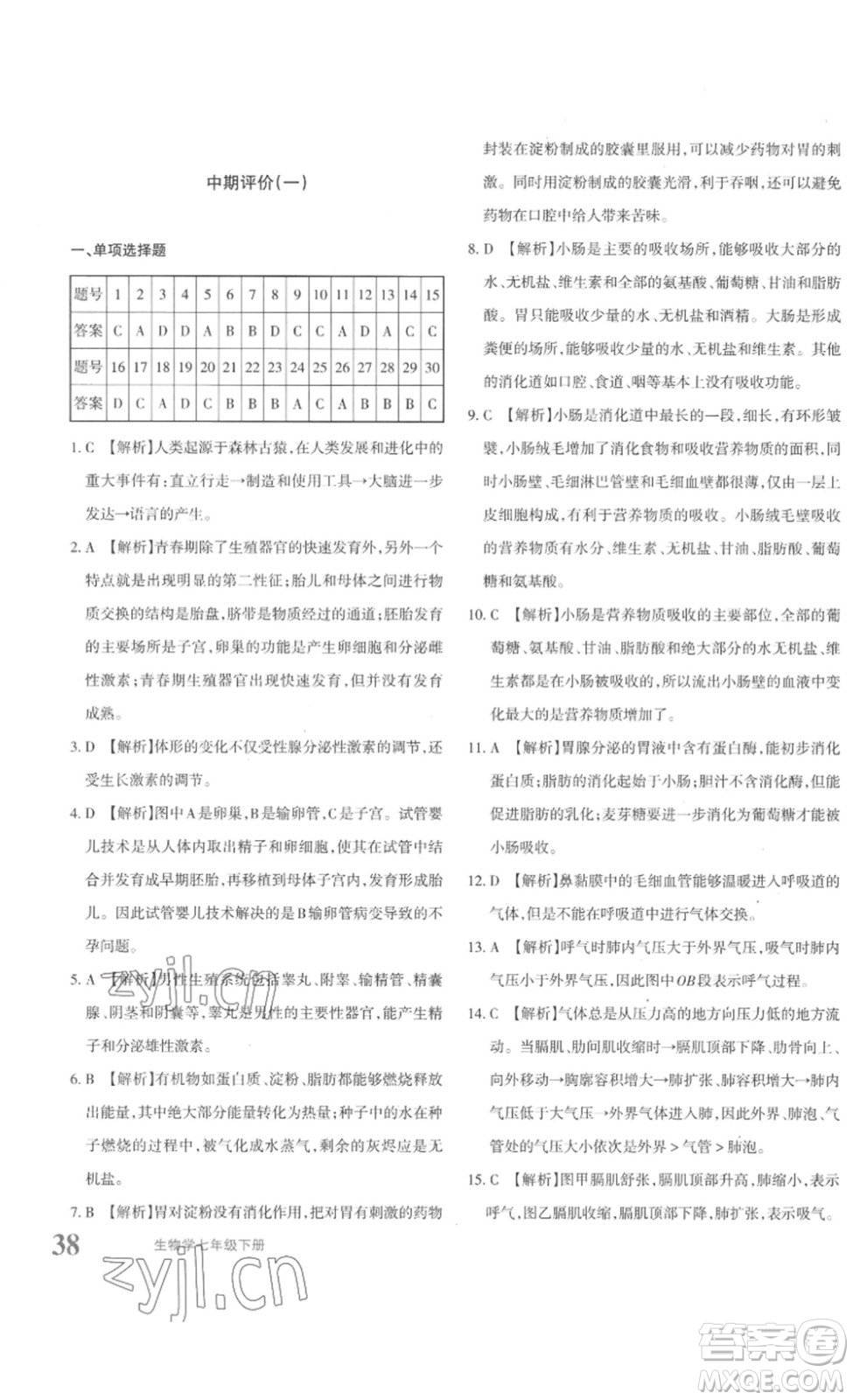 新疆青少年出版社2023優(yōu)學1+1評價與測試七年級生物下冊人教版答案