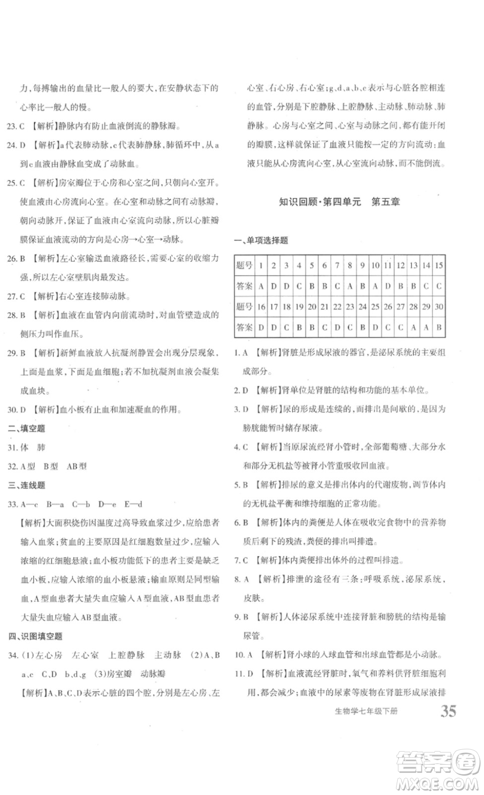 新疆青少年出版社2023優(yōu)學1+1評價與測試七年級生物下冊人教版答案