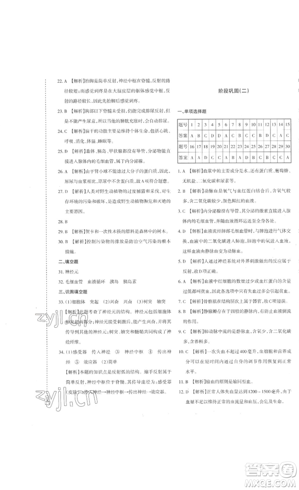 新疆青少年出版社2023優(yōu)學1+1評價與測試七年級生物下冊人教版答案