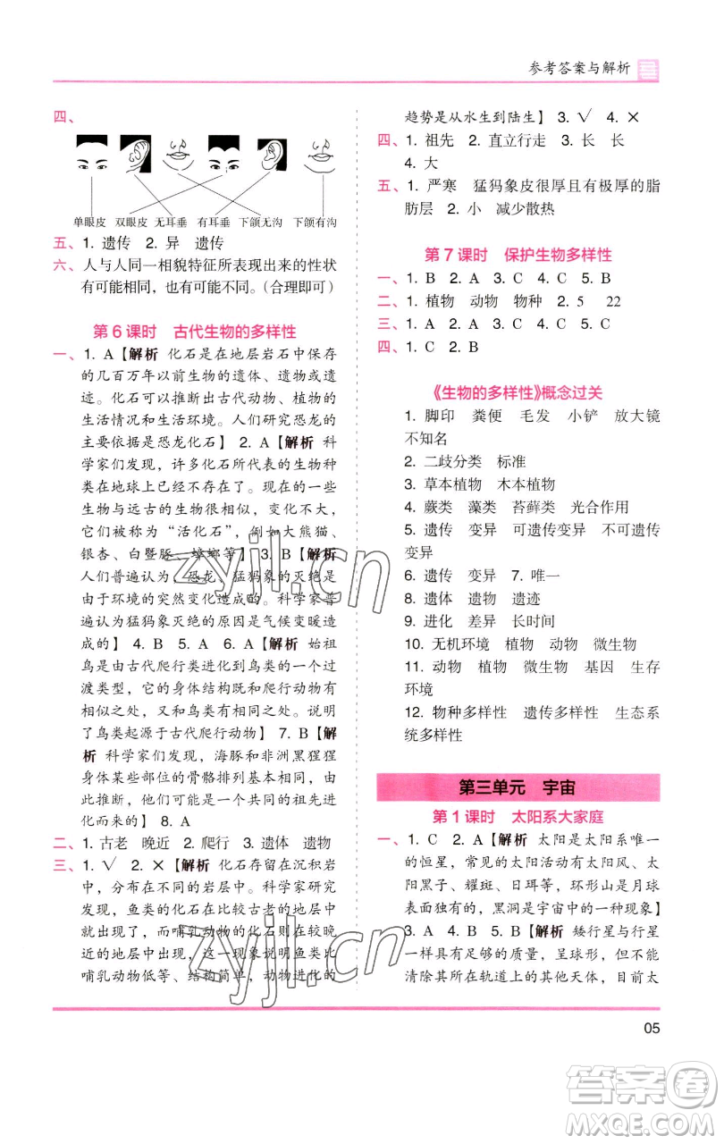 湖南師范大學(xué)出版社2023木頭馬分層課課練六年級(jí)科學(xué)下冊(cè)教科版參考答案