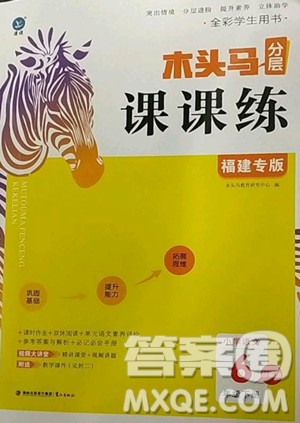 湖南師范大學出版社2023木頭馬分層課課練六年級語文下冊部編版福建專版參考答案