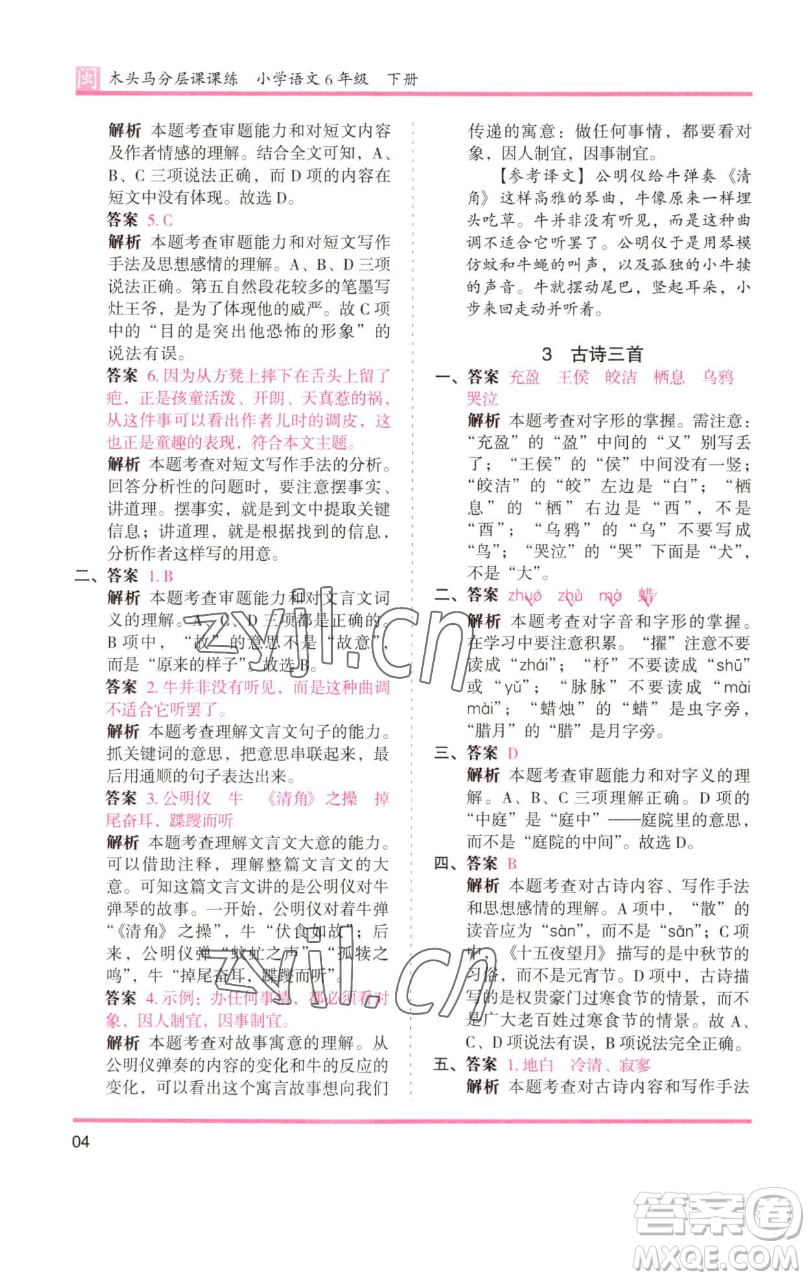 湖南師范大學出版社2023木頭馬分層課課練六年級語文下冊部編版福建專版參考答案