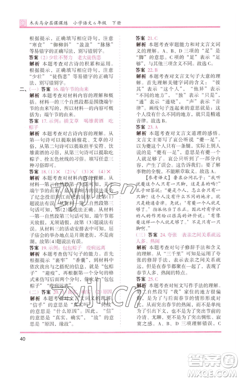 湖南師范大學出版社2023木頭馬分層課課練六年級語文下冊部編版福建專版參考答案