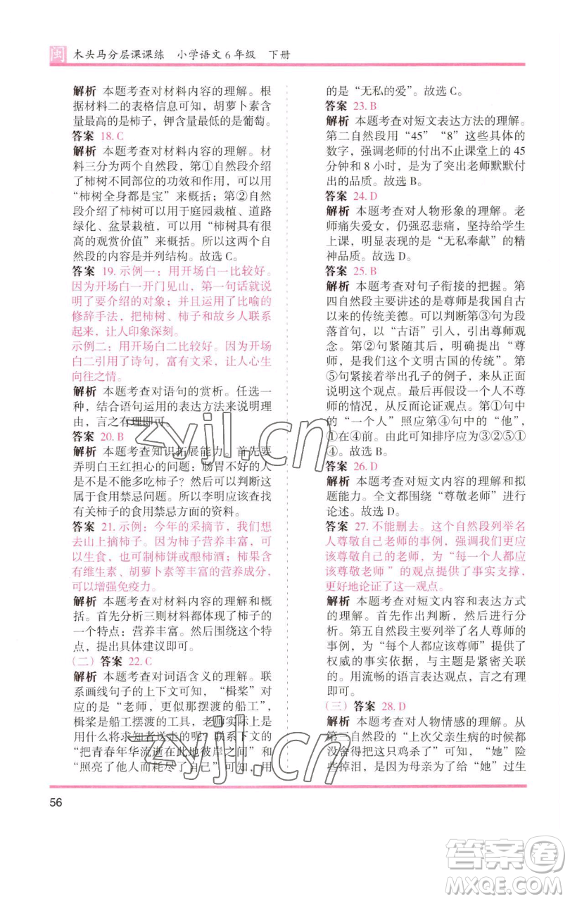 湖南師范大學出版社2023木頭馬分層課課練六年級語文下冊部編版福建專版參考答案