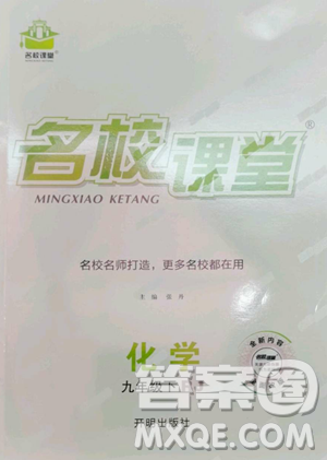 開明出版社2023名校課堂九年級化學下冊人教版參考答案