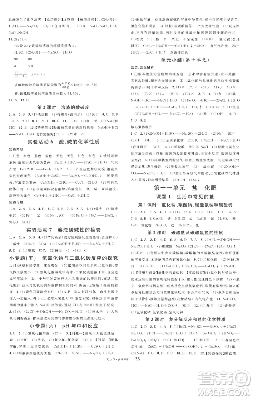 開明出版社2023名校課堂九年級化學下冊人教版參考答案