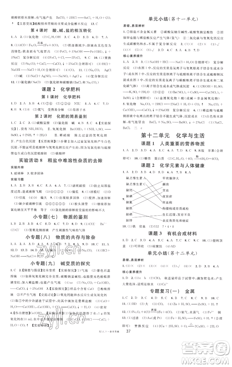 開明出版社2023名校課堂九年級化學下冊人教版參考答案