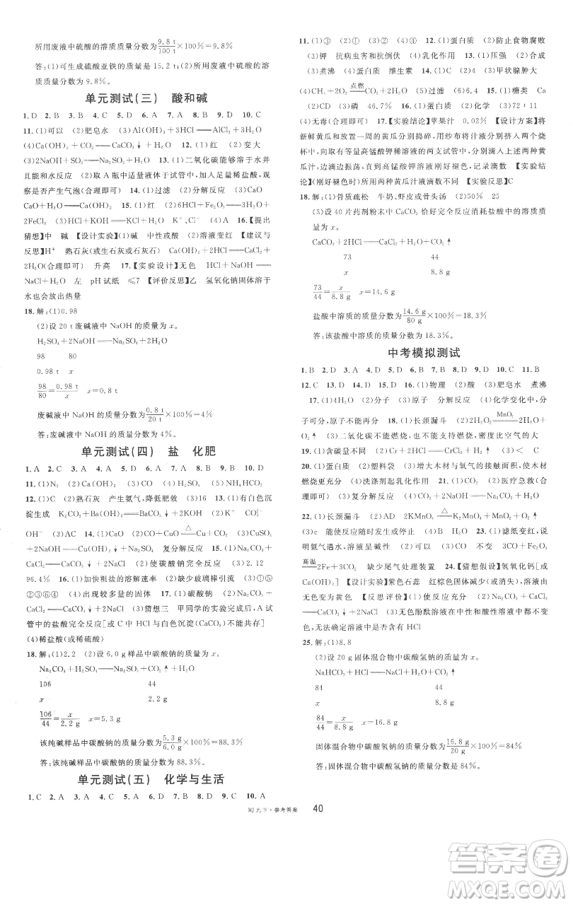 開明出版社2023名校課堂九年級化學下冊人教版參考答案