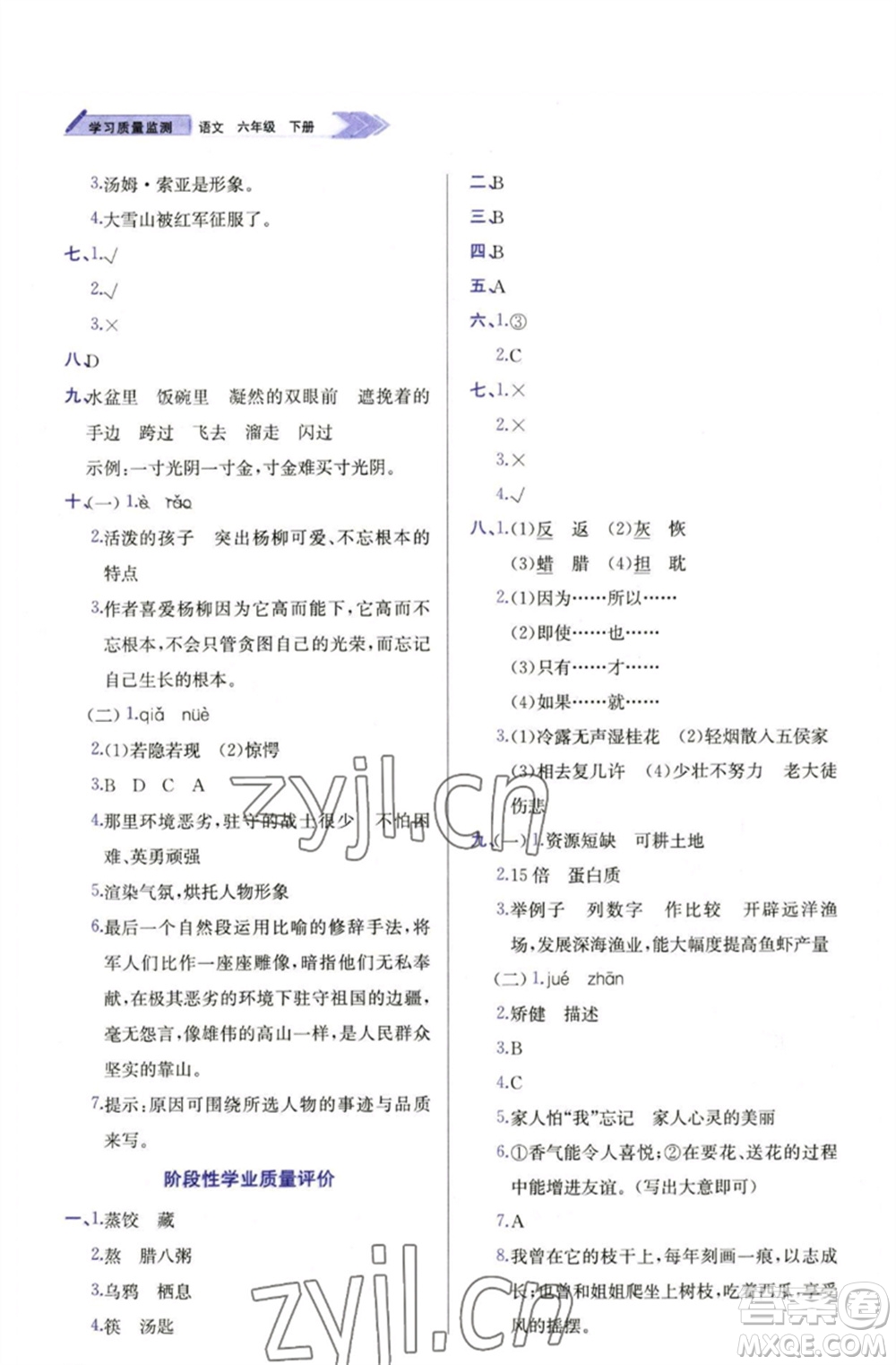 天津教育出版社2023學(xué)習(xí)質(zhì)量監(jiān)測六年級語文下冊人教版參考答案