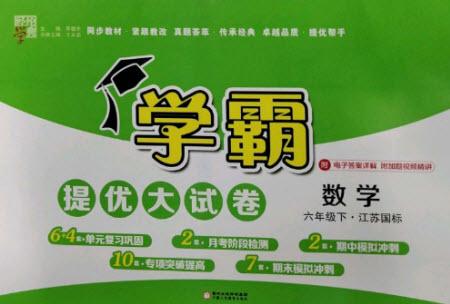 寧夏人民教育出版社2023學(xué)霸提優(yōu)大試卷六年級數(shù)學(xué)下冊江蘇版參考答案
