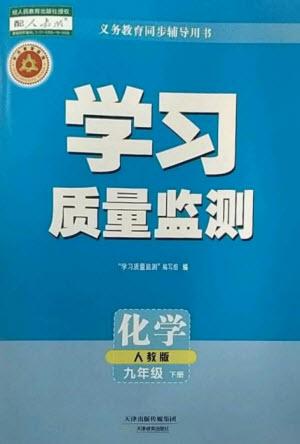 天津教育出版社2023學(xué)習(xí)質(zhì)量監(jiān)測九年級化學(xué)下冊人教版參考答案