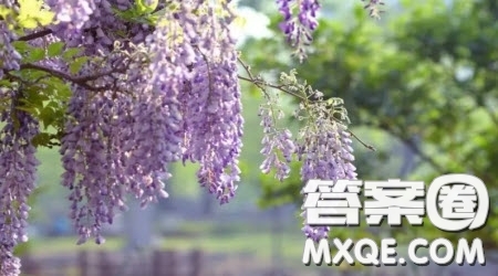 傾聽(tīng)__的心跳為題作文600字 關(guān)于傾聽(tīng)__的心跳為題的作文600字