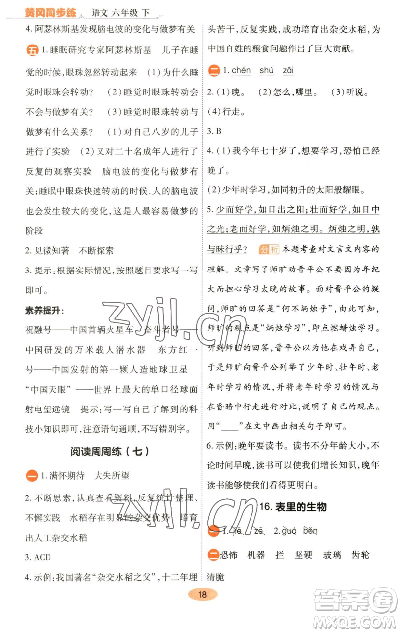 陜西師范大學(xué)出版總社有限公司2023黃岡同步練六年級語文下冊人教版參考答案