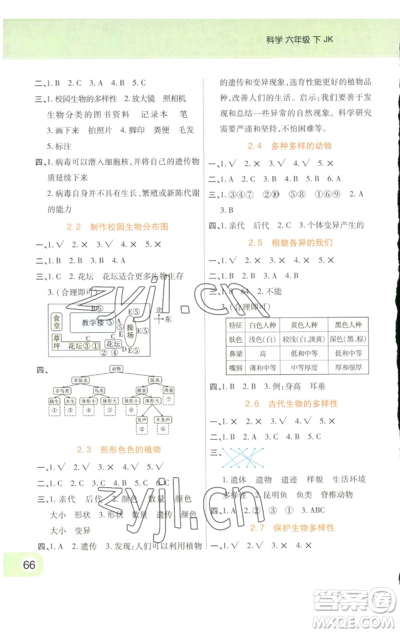 陜西師范大學(xué)出版總社有限公司2023黃岡同步練一日一練六年級(jí)科學(xué)下冊(cè)教科版參考答案