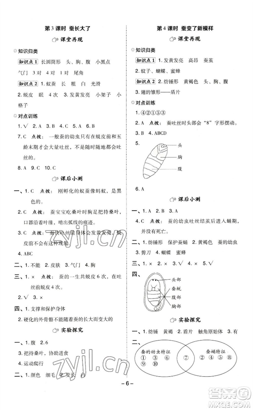 山西教育出版社2023綜合應(yīng)用創(chuàng)新題典中點三年級科學(xué)下冊教科版參考答案