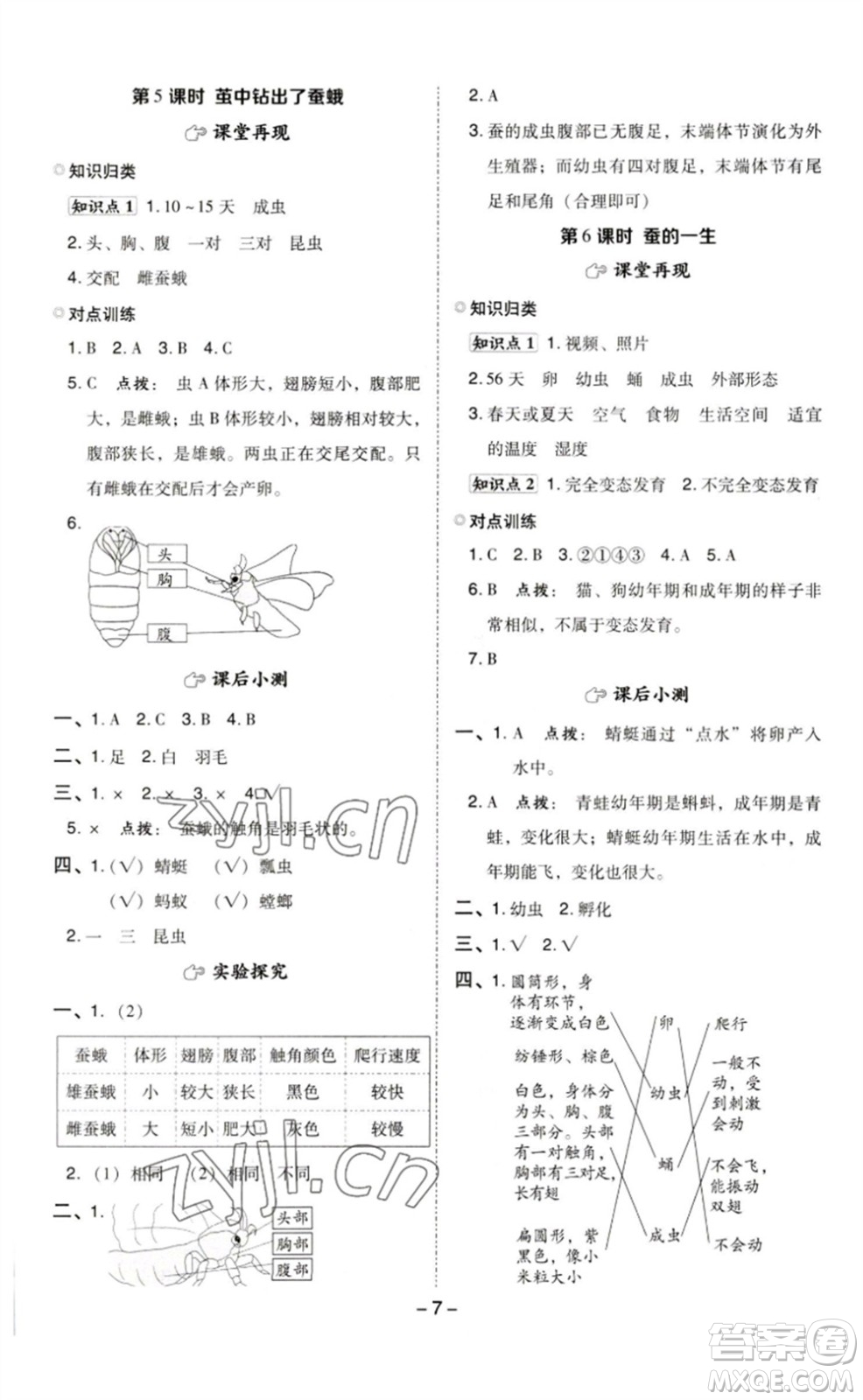 山西教育出版社2023綜合應(yīng)用創(chuàng)新題典中點三年級科學(xué)下冊教科版參考答案
