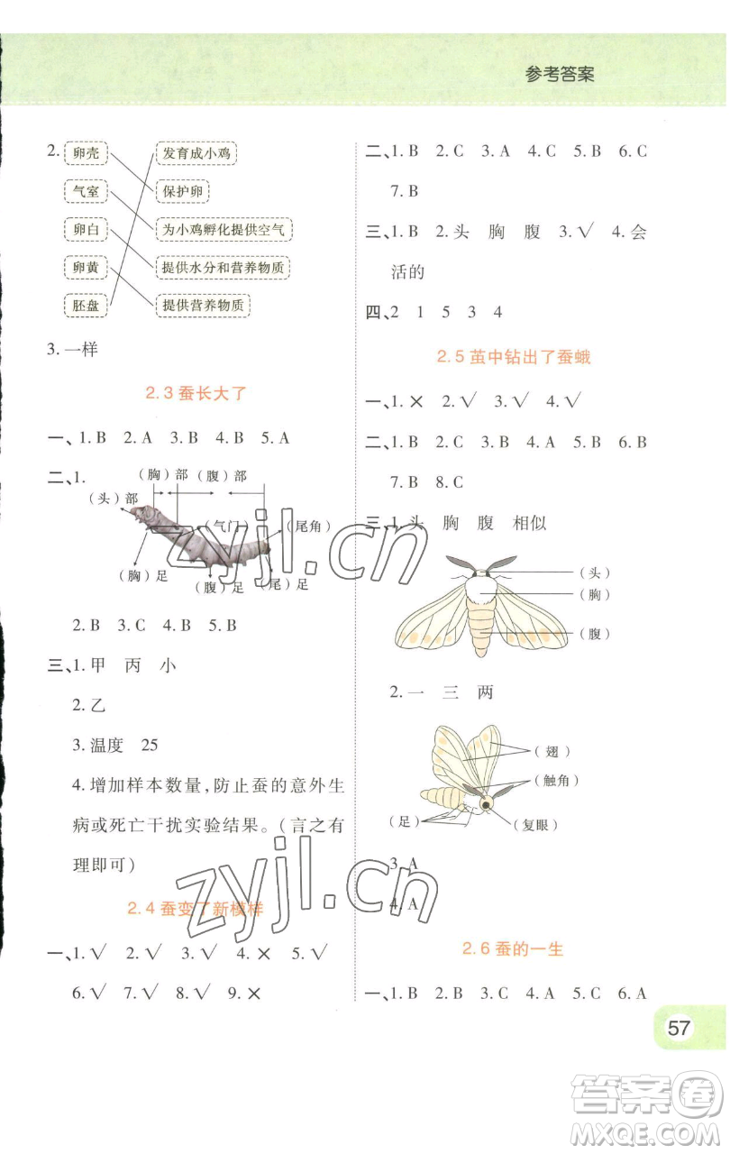 陜西師范大學(xué)出版總社有限公司2023黃岡同步練一日一練三年級(jí)科學(xué)下冊(cè)教科版參考答案
