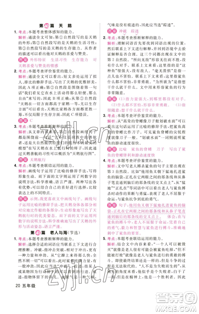 江西教育出版社2023百校名師閱讀真題80篇五年級彩虹版參考答案