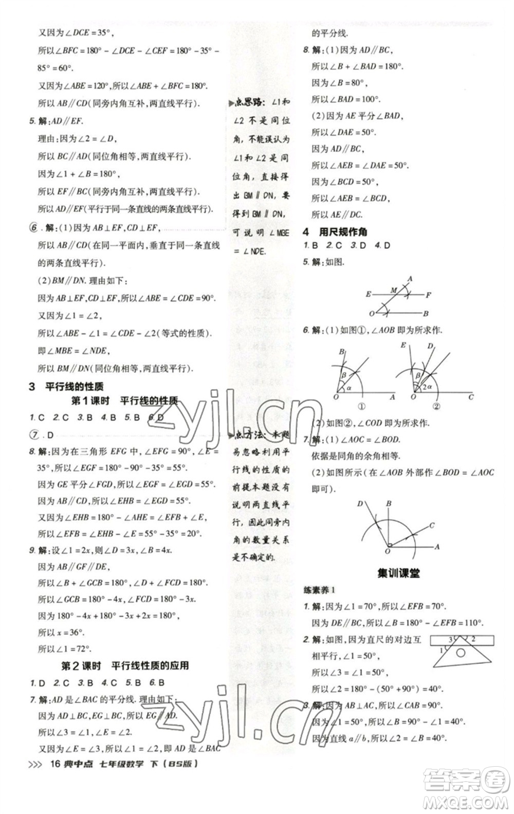 陜西人民教育出版社2023綜合應用創(chuàng)新題典中點七年級數(shù)學下冊北師大版參考答案