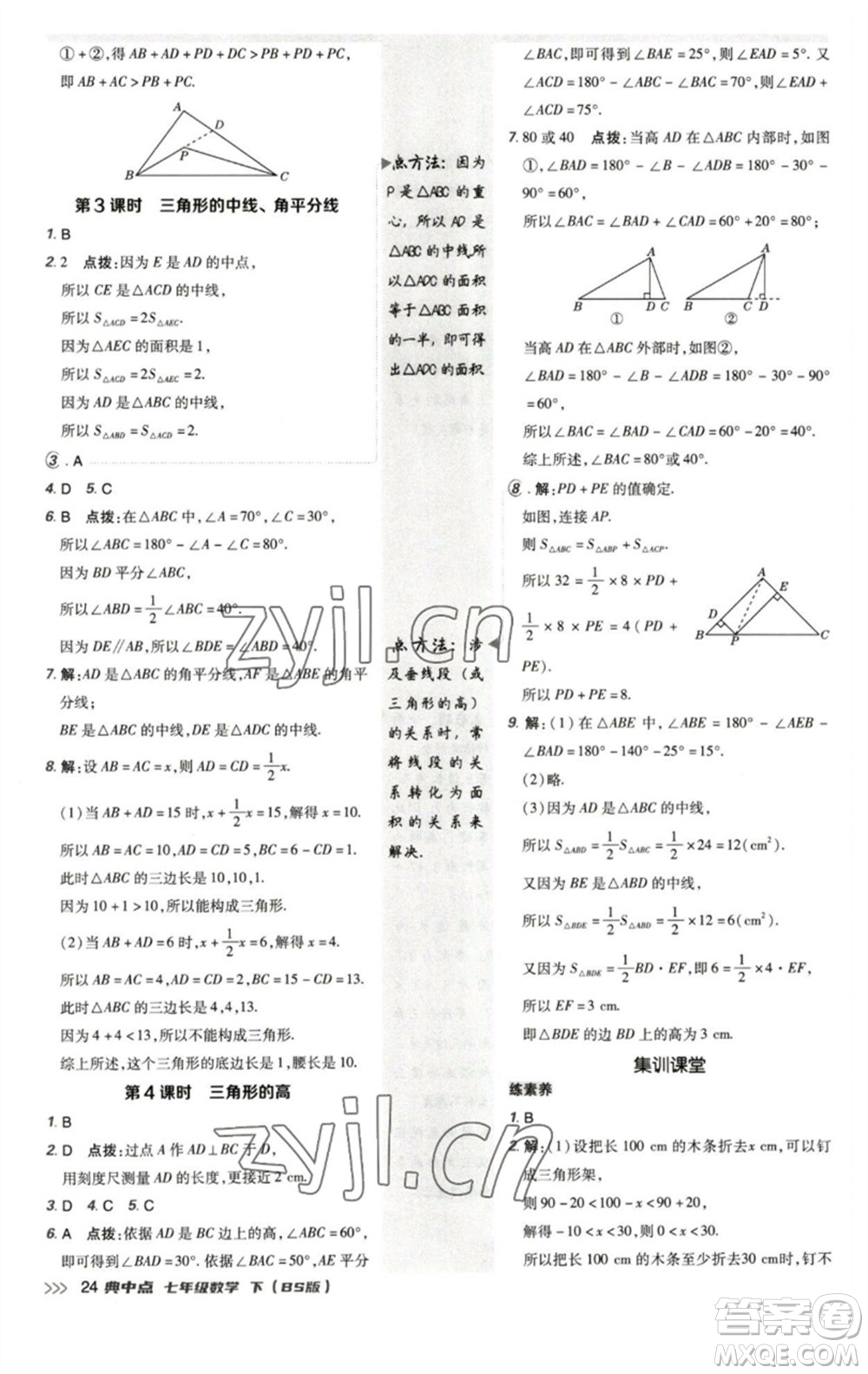 陜西人民教育出版社2023綜合應用創(chuàng)新題典中點七年級數(shù)學下冊北師大版參考答案