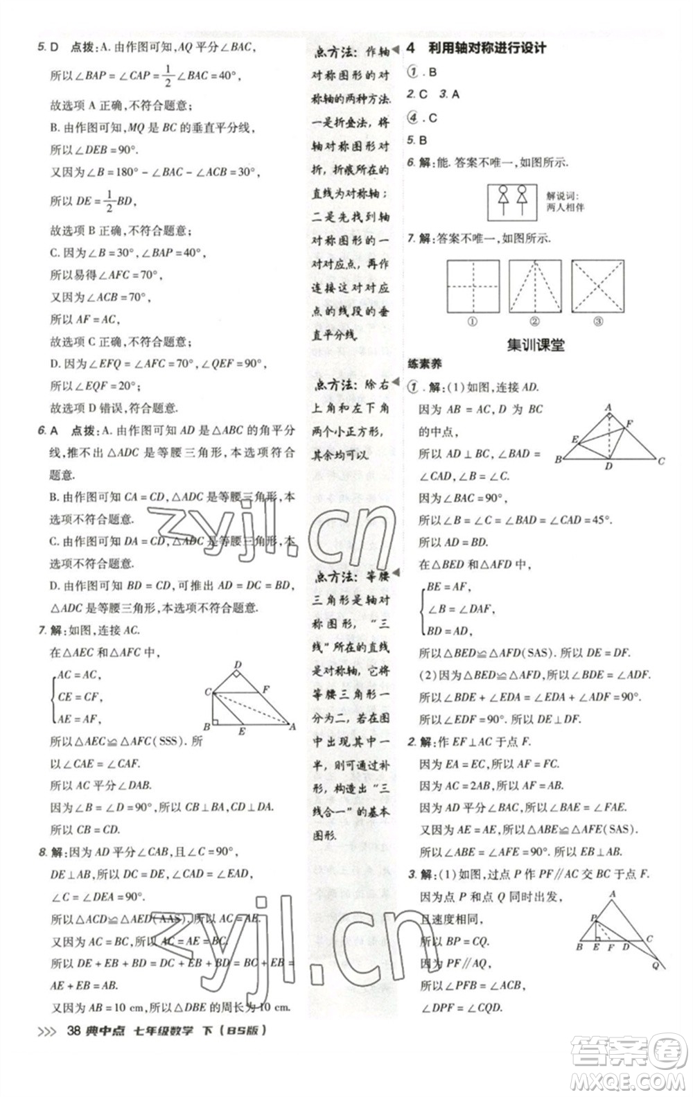 陜西人民教育出版社2023綜合應用創(chuàng)新題典中點七年級數(shù)學下冊北師大版參考答案