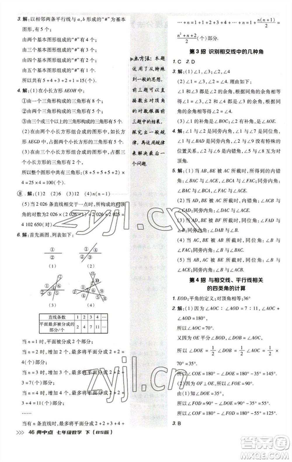 陜西人民教育出版社2023綜合應用創(chuàng)新題典中點七年級數(shù)學下冊北師大版參考答案
