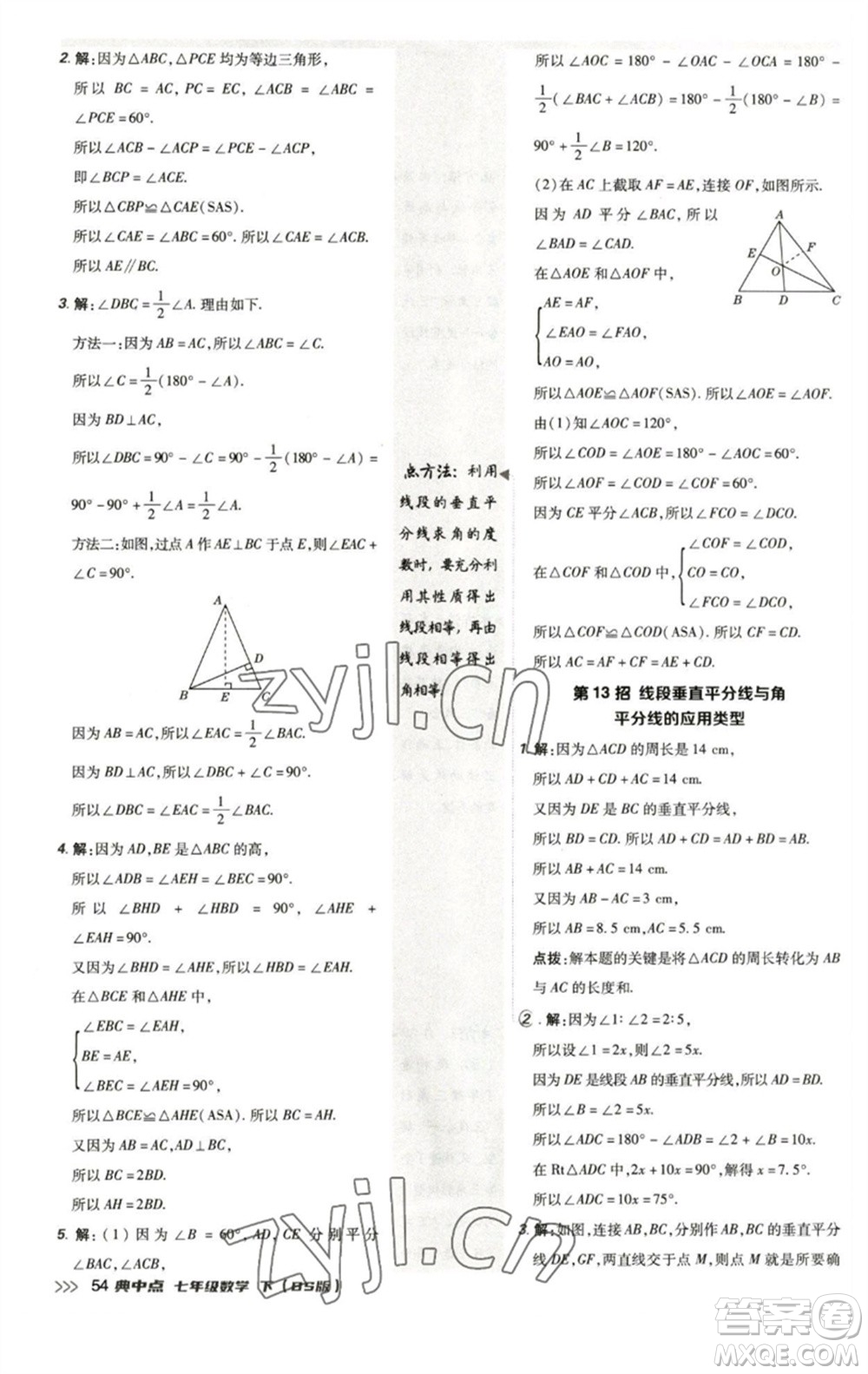 陜西人民教育出版社2023綜合應用創(chuàng)新題典中點七年級數(shù)學下冊北師大版參考答案