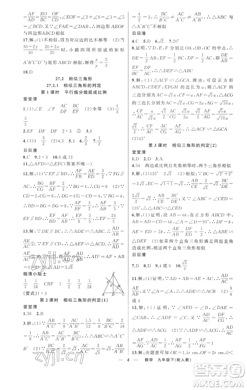 新疆青少年出版社2023四清導(dǎo)航九年級(jí)下冊(cè)數(shù)學(xué)人教版參考答案